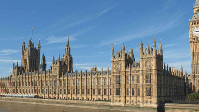 The UK Chiropractors Act, 1994 - Story of a legislative campaign