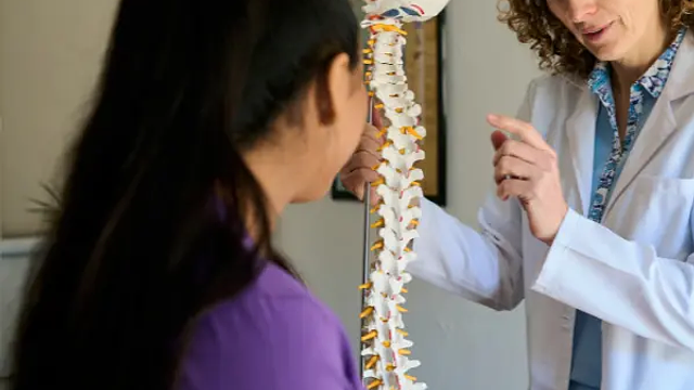 Can You Become a Chiropractor Without a Degree?