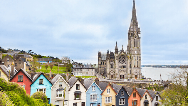 Chiropractic Jobs in Ireland