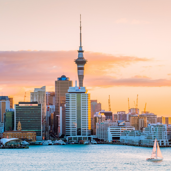 Working as an Overseas Chiropractor in New Zealand